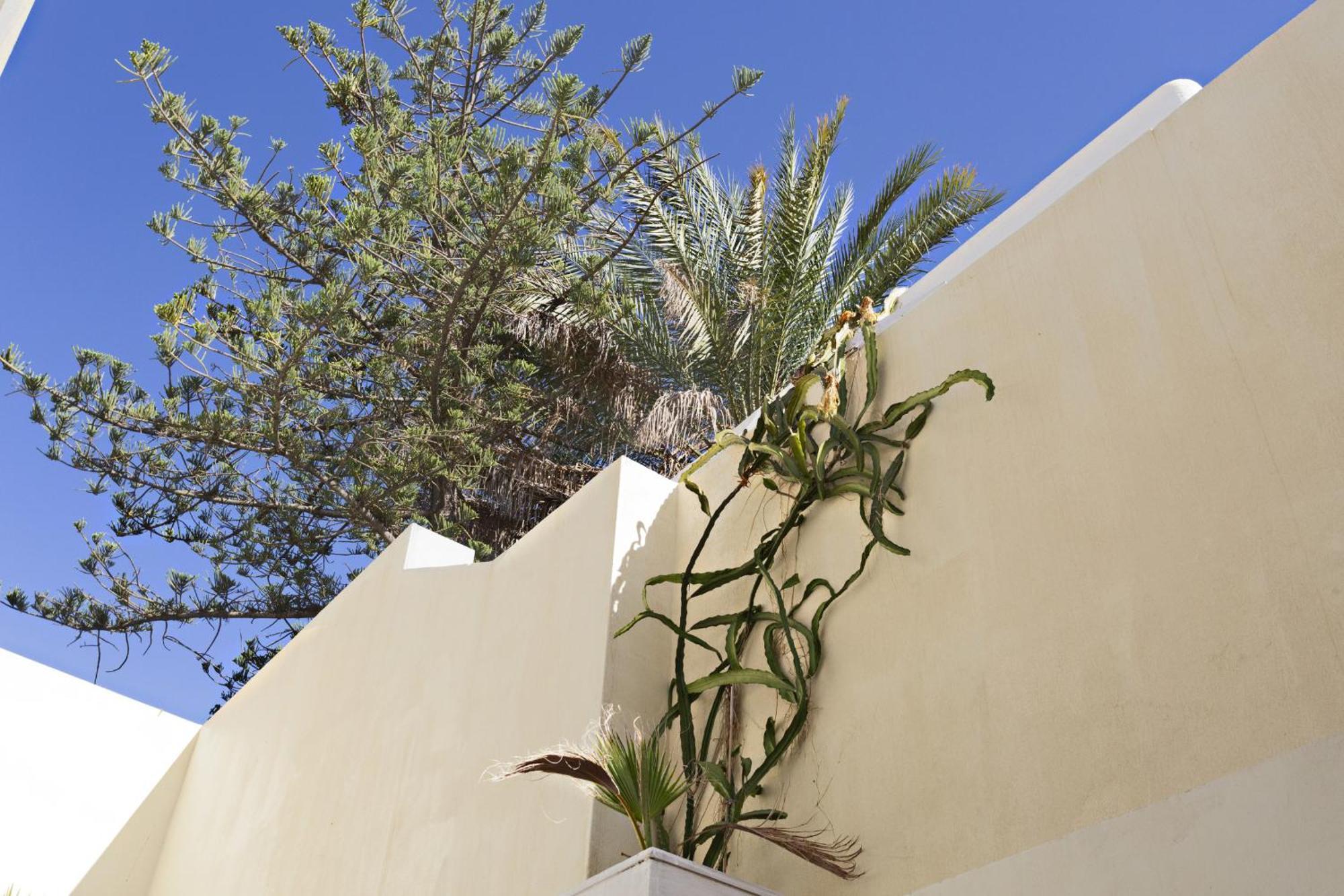 Olarias Apartments BY MY CHOICE Tavira Exterior foto